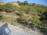 DSC02360.JPG