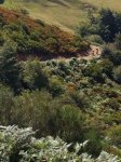 IMG-20140824-WA0003.jpg