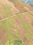 IMG-20140824-WA0010.jpg