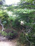 IMG-20140824-WA0011.jpg