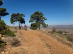 DSC02039.JPG