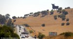 vuelta14st2-toro.jpg