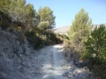 DSC02390.JPG