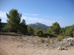 DSC02391.JPG
