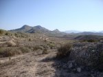 DSC02461.JPG