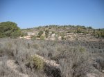 DSC02472.JPG