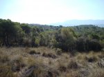 DSC02494.JPG