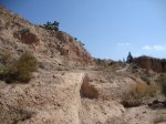 DSC02514.JPG