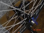 DSC04081.JPG