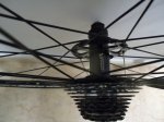 DSC01115.JPG