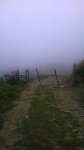 WP_20140828_018.jpg