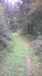 WP_20140828_004.jpg