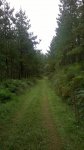 WP_20140828_013.jpg