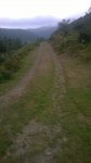 WP_20140828_020.jpg