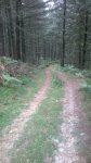 WP_20140828_022.jpg