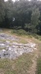 WP_20140828_024.jpg