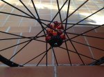 IMG_3466.JPG