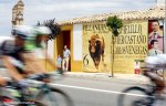 vuelta14st08-toros.jpg