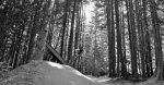 _DSC0072.jpg