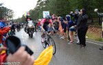 260-PIC491003141.jpg