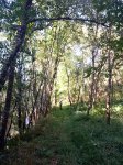 IMG_20140901_122905_redimensionar.jpg