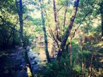 IMG_20140901_123556_redimensionar.jpg