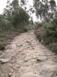 Imagen 028.jpg