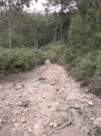 Imagen 031.jpg