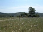 Imagen 034.jpg