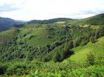 Pelugano-julio-07-003.jpg