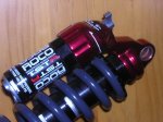 roco3DSCN2887.JPG