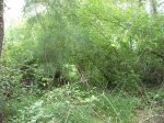 Imagen 039.jpg