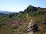 10-BAJANDO HACIA CIMA DE VILA Y XUNQUEIRA.JPG