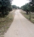 FMB11.jpg