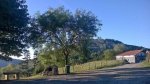 WP_20140901_013.jpg