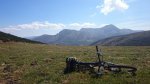 DSC_0317.JPG