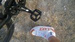 WP_20140828_003.jpg