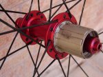 DSC05861.JPG