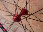 DSC05862.JPG