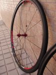 DSC05863.JPG