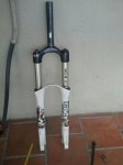 IMG_136792102176656.jpeg