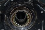 rsz_dsc_4930.jpg