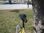 DSC05062.jpg