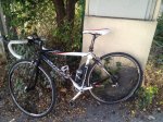 bici_2.jpg
