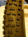 DSC_0258.jpg