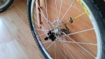 20140904_135932.jpg