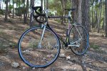 bici2.jpg