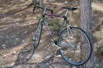 bici3.jpg