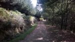 WP_20140906_006.jpg