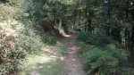 WP_20140906_009.jpg